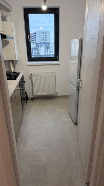 Theodor Pallady, complex Victor Brauner